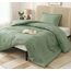 Utopia Bedding, 2-teiliges Bettwäsche-Set für Doppelbett, Salbeigrün, Bettdecken-Sets, Daunen-Alternative, weiches Bettwäsche-Set, 1 Bettdecke (162,6 x 223,5 cm), 1 Kissenbezug (50,8 x 66 cm)