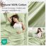 Comfort Spaces Bettlaken aus 100% Baumwolle, für King-Size-Bett, atmungsaktive und weiche Baumwolle, natürlich kühle Baumwolle, mit 35,6 cm elastischer Tasche, passend für Matratzen bis zu 40,6 cm