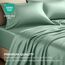 Satin Sheets King [4-teilig, Champagnergrün] Luxuriöses seidiges Hotel-Bettwäsche-Set, extra weiches 1800 Mikrofaser, knitterfrei, farbecht, schmutzabweisend, tiefes Spannbetttuch, Bettlaken
