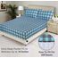 RUVANTI 100 % Baumwolle, 4-teiliges Flanell-Bettlaken für King-Size-Bett, tiefe Tasche, warm, super weich, atmungsaktiv, feuchtigkeitsableitend, Spannbetttuch, 2 Kissenbezüge – blaugrün kariert