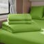 Clara Clark Premier 1800 Serie 4-teiliges Wohnmobil-Bettwäsche-Set, luxuriös, weiche Bettlaken für Etagenbetten für Wohnmobile, kurzes Queen-Size-Bett - Gartengrün