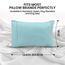 Utopia Bedding Queen-Kissenbezüge – 2er-Pack – Hotelverschluss – weicher, gebürsteter Mikrofaserstoff – schrumpf- und farbecht, Kissenbezüge 20 X 30 Inches (Queen, Spa Blue)