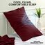 Utopia Bedding Queen-Kissenbezüge – 2er-Pack – Hotelverschluss – weicher, gebürsteter Mikrofaserstoff – schrumpf- und farbecht, Kissenbezüge 20 X 30 Inches (Queen, Burgunderrot)