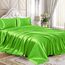 Homiest 3-teiliges Satin-Bettwäsche-Set, luxuriöses, seidiges Satin-Bettwäsche-Set mit tiefer Tasche, 1 Spannbetttuch + 1 Bettlaken + 1 Kissenbezüge (Doppelbettgröße, Limettengrün)