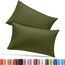 Utopia Bedding Queen-Kissenbezüge – 2er-Pack – Hotelverschluss – weicher, gebürsteter Mikrofaserstoff – schrumpf- und farbecht, Kissenbezüge 20 X 30 Inches (Queen, Olivgrün)