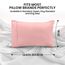 Utopia Bedding Queen-Kissenbezüge – 2er-Pack – Hotelverschluss – weicher, gebürsteter Mikrofaserstoff – schrumpf- und farbecht, Kissenbezüge 20 X 30 Inches (Queen, Pink)