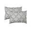 Elegant Comfort Luxuriöses, weichstes und gemütlichstes 8-teiliges Bettdecken-Set – seidig weiches Komplett-Set enthält Bettlaken-Set mit doppelseitigen Aufbewahrungstaschen, Twin/Twin XL, Silber