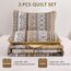 WONGS BEDDING Steppdecken-Set für Kingsize-Bett, Boho-Streifen, 3-teilig, Boho-Stil, leichte Mikrofaser, Ganzjahres-Bettwäsche-Set für Queensize-Bett (264,2 x 228,6 cm), Braun