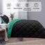 Basic Beyond Bettwäsche-Set für Queen-Size-Bett, wendbar, für alle Jahreszeiten, 1 Bettdecke (223,5 x 233,7 cm) und 2 Kissenbezüge (50,8 x 66 cm + 5 cm), Schwarz/Grün (Minzblatt)