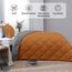 Basic Beyond Bettwäsche-Set für Queen-Size-Bett, wendbar, für alle Jahreszeiten, 2-teilig, Burnt Orange