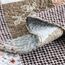 HoneiLife Bettwäsche-Set für Queen-Size-Betten, 3-teilig, Mikrofaser, wendbar, Tagesdecke, Patchwork-Decken, Blumen-Bettwäsche-Set für alle Jahreszeiten, Steppdecken, Rose, Queen-Size/volle Größe