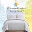 Southshore Fine Living, Inc. Übergroßes Steppdecken-Set für King-Size-Betten, King-Size-Größe, mit 2 passenden Kissenbezügen, weicher Mikrofaser-Bezug, pflegeleicht, maschinenwaschbar, Hellgrau