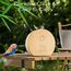 Vogelgezwitscher Bewegungsmelder Box, Acemall Vogelgezwitscher Vogelzwitschern, Naturgeräusche Box mit Timer, 9 Vogelgesang, Bachgeflüster & Waldquelle für Toilette Spa und Entspannung