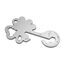 Geschenkartikel: ROMINOX Key Tool Lucky Charm, 19 Funktionen, Schlüsselanhänger Kleeblatt, Glücksbringer, Edelstahl Multitool, Multifunktionswerkzeug, Kleinigkeit für Adventskalender