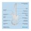 Geschenkartikel: ROMINOX Key Tool Guitar, 19 Funktionen, Keytool Schlüsselanhänger Gitarre, E-Gitarre, Edelstahl Multitool, Multifunktionswerkzeug, Kleinigkeit für Adventskalender