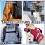 TaimeiMao 1200LM Superhelle Mini-Schlüsselanhänger, Superhelle Mini Led Taschenlampe, Taschenlampe LED Aufladbar, taschenlampe Wasserdicht für Haushalt Auto Outdoorarbeit Reisen Camping (Weiß)