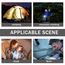 4 Stück Mini LED Taschenlampe,Kindertaschenlampen,Kleine LED Taschenlampe Schlüsselanhänger,Taschenlampe USB Aufladbar,Taschenlampe Klein,für Klettern,Camping,Outdoor,Geschenke zum Kindergeburtstag