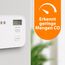 Smartwares CO-Melder - 10-Jahres-Batterie - LED-Bildschirm & Anzeige - Testknopf - FGA-13091
