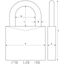 ABUS Zahlenschloss 145/30 Titanium - Kofferschloss, Spindschloss u. v. m. - Aluminium-Vorhängeschloss - individuell einstellbarer Zahlencode - ABUS-Sicherheitslevel 3 (Packung mit 2)