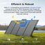 EcoFlow DELTA 2 Max tragbare Powerstation 2048Wh mit zwei 400W Solarpanel, Balkonkraftwerk mit speicher Solaranlage, Schnellladung Solargenerator, für Outdoor, Camping, Wohnmobil, Garten