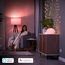 Philips Hue Smart Plug für Hue Lichtsysteme, smarte Steckdose zur Steuerung von Leuchten, kompatibel zur Sprachsteuerung und per App von überall, weiß