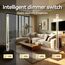 BSEED Smart Alexa 3 Fach Dimmer Lichtschalter,Kompatibel mit Tuya/Google Home/SAMRT LIFE Weiß,Verdreifachen Dimmerschalter mit Touch Panel Grau,APP Fernbedienung und Timer Funktion