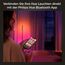 Philips Hue White & Color Ambiance Gradient Signe LED Stehleuchte (2.550 lm), dimmbare Lichtsäule mit 16 Mio. Farben & Farbverläufen, smarte Lichtsteuerung über Sprache und App, schwarz