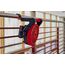 Einhell Akku-Ventilator GE-CF 18/2200 Li-Solo Power X-Change (18 V, Li-Ion, 3 Geschwindigkeitsstufen, 360° drehbarer Ventilatorkopf, Lieferung ohne Akku & ohne Ladegerät)