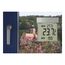 TFA Dostmann Vision digitales Fensterthermometer aussen, 30.1025, selbstklebend, großes Display mit Außentemperatur, Höchst- und Tiefstwerte, 97 x 22 x 105 mm, Silber
