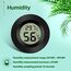 Thlevel Mini Digital Hygrometer Thermometer Temperatur Luftfeuchtigkeitmessgerät für Innenraum Gewächshaus Wohnzimmer 6 Stücke