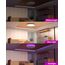 zemty LED Deckenleuchte Dimmbar 30CM, 24W 3200LM RGB Deckenlampe Farbwechsel, 3000K-6500K Badezimmer Lampe IP54 Wasserfest, Flach Badlampe Decke für Bad Kinderzimmer Schlafzimmer Wohnzimmer
