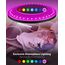 zemty LED Deckenleuchte Dimmbar 60CM, 50W 5040LM RGB Deckenlampe mit Fernbedienung, 3000K-6500K Wasserfest Badezimmer Lampe Decke für Bad Kinderzimmer Schlafzimmer Wohnzimmer Schwarz