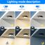Peasur LED Deckenleuchte mit Bewegungsmelder Batteriebetrieben, 18cm Lampe Innen Aussen, 300LM 3000K Treppen Deckenlampe für Schrank Balkon Abstellraum Keller Flur Garage Bad Küche(Black)