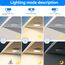 Peasur LED Deckenleuchte mit Bewegungsmelder Batteriebetrieben, 18cm Lampe mit Bewegungsmelder Innen Aussen, 300LM 3000K Treppen Deckenlampe für Schrank Balkon Abstellraum Keller Flur Garage Bad Küche