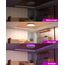 zemty 2 Stück 40CM LED Deckenleuchte Dimmbar, 36W 3200LM Deckenlampe RGB Farbwechsel mit Fernbedienung, 3000K-6000K Wasserfest Lampe Decke für Badezimmer Jugendzimmer Wohnzimmer Schlafzimmer