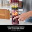 Ninja Blast Tragbarer Mixer / Blender / Smoothie Maker, 530ml Becher, Auslaufsicherer Deckel, Leistungsstarker Mini Standmixer, Kabellos & Wiederaufladbar, Zerkleinert Eis & Obst, Cranberry, BC151EUCR