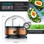 Arendo Sevencook Eierkocher 400 W – Edelstahl Design - 1-7 Eier - Egg Cooker – Kipp-Funktionsschalter – 3 Härtegrade wählbar - Warmhaltefunktion - Signalton - BPA-frei - kupfer
