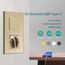 BSEED Druckknopf Rocker Tactile 1 Fach 1 Weg Lichtschalter Glas und 3 in 1 Steckdose mit 2.1A USB Ladeleistung mit Type C Adapter Aufladestation Glasscheibe Wandschalter Gold