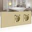 BSEED Touch Lichtschalter mit USB Steckdose Anschluss (Max. 2.1A) Typ C Port 1 Fach 2 Wege Wandschalter mit doppelten Steckdosen Unterputz Touchscreen-schalter mit Glasrahmen 228mm Golden