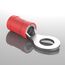 AUPROTEC 25x Ringkabelschuhe 0,5-1,5 mm² rot Loch-Ø M6 Teillisoliert PVC RV Kabel-Verbinder aus Kupfer verzinnt