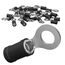AUPROTEC 25x Ringkabelschuhe 2,5-4,0 mm² schwarz Loch-Ø M4 Teillisoliert PVC RV Kabel-Verbinder aus Kupfer verzinnt
