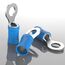 AUPROTEC 100x Ringkabelschuhe 1,5-2,5 mm² blau Loch-Ø M5 Teillisoliert PVC RV Kabel-Verbinder aus Kupfer verzinnt