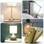 AXFEE Inline Schalter, 3 Stück 250V 6A Zwischenschalter Schnurschalter, Kabelschalter Wippschalter, 2-adrige und 3-adrige Zuleitungen, Schnurzwischenschalter für Lampe Kleingeräte | Gold
