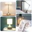 AXFEE Inline Schalter, 250V 6A Zwischenschalter Schnurschalter, Kabelschalter Wippschalter, 2-adrige und 3-adrige Zuleitungen, Schnurschalter, Schnurzwischenschalter für Lampe Kleingeräte-Transparent