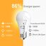 GY E27 LED Ultrahelle Energiespar Glühbirne, 14W Glühbirne E27, Ersetzt 100W lampe, A60 LED Birne 1540LM, 3000K Led Warmweiss, 280° Abstrahlwinkel Energiesparlampe, Nicht Dimmbar, 12 Stück