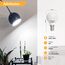 GY E14 LED Ultrahelle Energiespar Glühbirne, 8W Glühbirne E14, Ersetzt 60W lampe, G45/P45 LED Birne 880LM, 6500K Led Kaltweiss, 280° Abstrahlwinkel Energiesparlampe, Nicht Dimmbar, 12 Stück