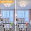 GY E27 LED Ultrahelle Energiespar Glühbirne, 14W Glühbirne E27, Ersetzt 100W lampe, A60 LED Birne 1540LM, 3000K Led Warmweiss, 280° Abstrahlwinkel Energiesparlampe, Nicht Dimmbar, 12 Stück