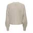 ONLCAROL Nice L/S Cardigan KNT NOOS
