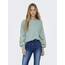ONLY Damen Onlbrooke L/S O-Neck Flower SWT Noos, Gray Mist, XXL