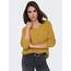 ONLY Female Strickpullover ONLCAMILLA Strickpullover